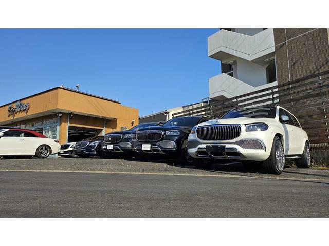 Big Wing ビッグウイング(5枚目)