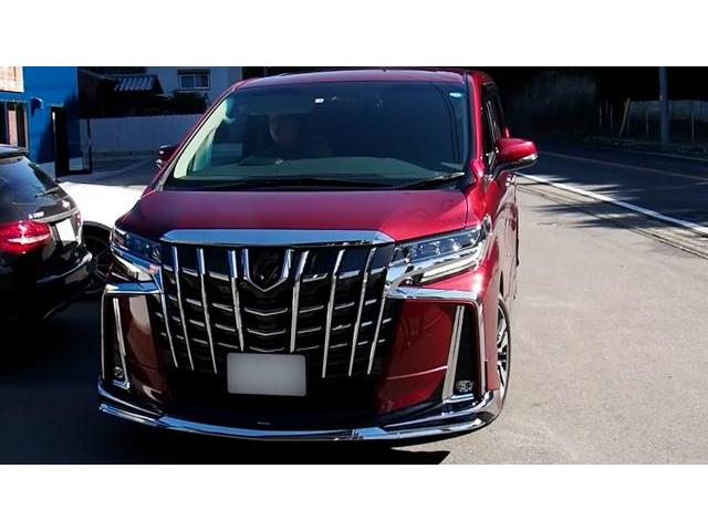 TOYOTA 30アルファード 内装アンビエントライト 連動LEDカスタムパーツ