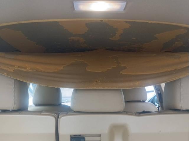 新着の作業実績