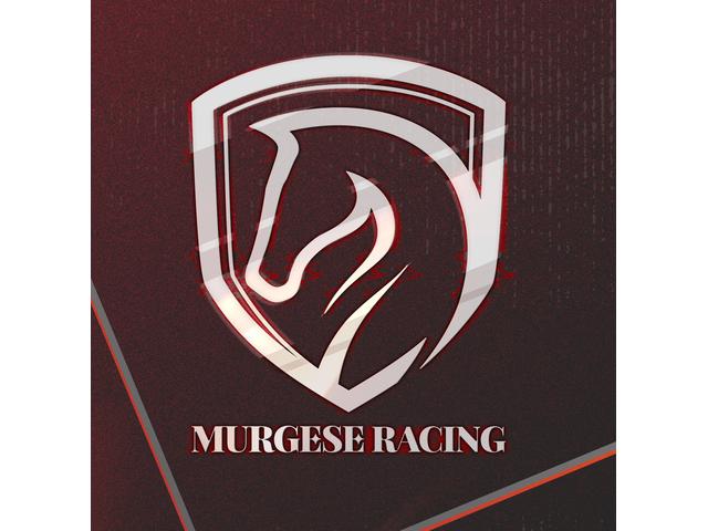 ＭＵＲＧＥＳＥ ＲＡＣＩＮＧ サービス紹介の5つ目