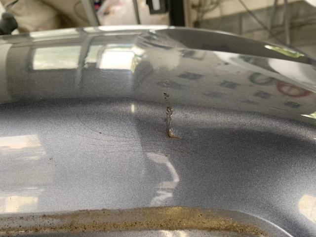 トヨタ　ルミオン　左クォーター、左ドア、左サイドステップ、リアバンパー修理