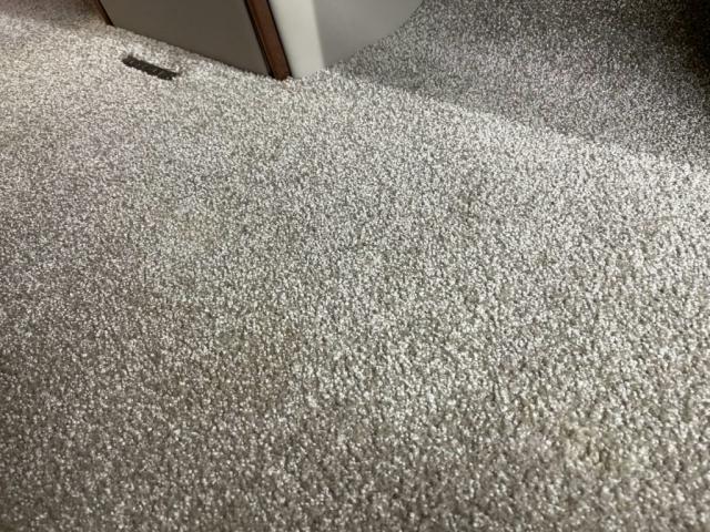 【レクサス LM500h／clearguard】クリアガード インテリアコーティング／リンサークリーニング施工 東京都世田谷区　東京都世田谷区のジェミーズ株式会社　渋谷区　目黒区　港区　品川区　川崎市　新規のお客様大歓迎　代車　レッカー