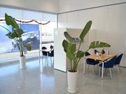 フォード栃木　カレボリンク宇都宮　ビジョナトレーディング（株）　ビジョナグループ6