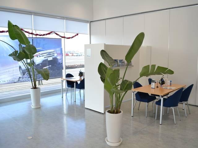 フォード栃木　カレボリンク宇都宮　ビジョナトレーディング（株）　ビジョナグループ6