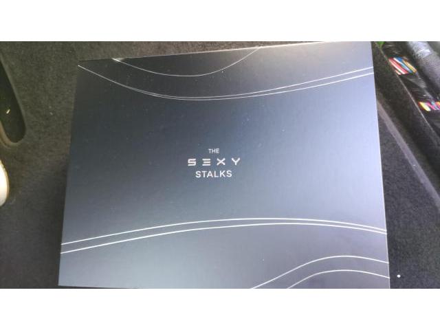 【enhance-エンハンス　S3XY Stalks】株式会社クローバー　横浜市　テスラ取付店　後付ウインカーレバー　Enhance　S3XY　アリエクなどテスラ社外品取付け可能です