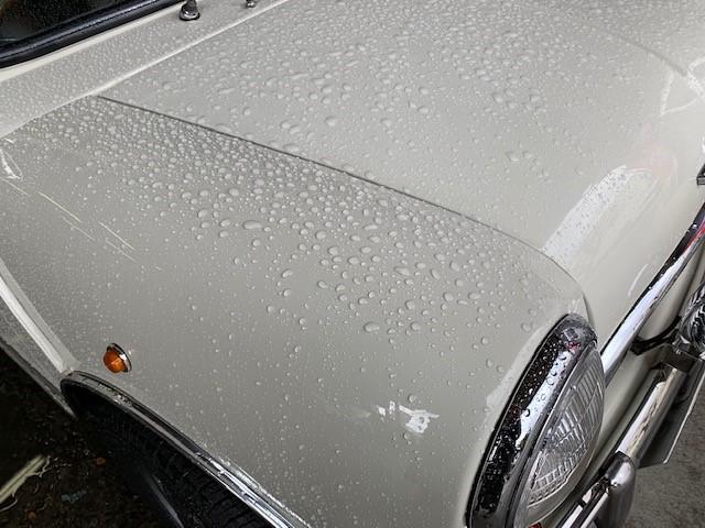 ローバーミニ　VARIOUS洗車・部分磨き施工