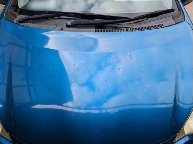 新着の作業実績