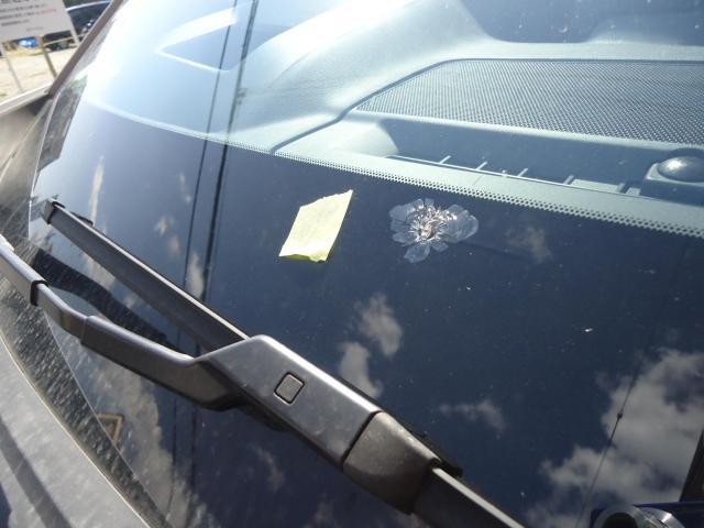 フロントガラス交換　ＣＸ－５　ＬＤＡ－ＫＦ２Ｐ　ご新規様　初来店　大阪市　車検　修理　鈑金　塗装　事故修理　パーツ持込取付　西成区　阿倍野区　住吉区　住之江区　
 
