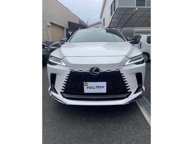 レクサス　RX350　カスタム　フロントグリル　カスタム塗装　カスタムペイント　