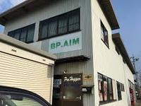 BP.AIM