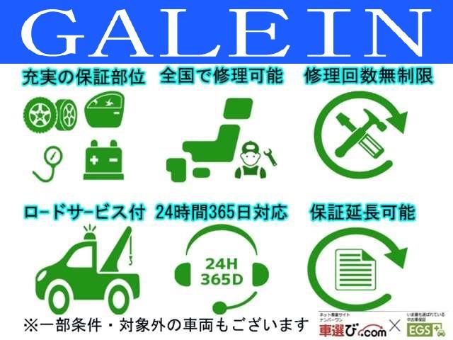 ＧＡＬＥＩＮ　ガレイン(4枚目)